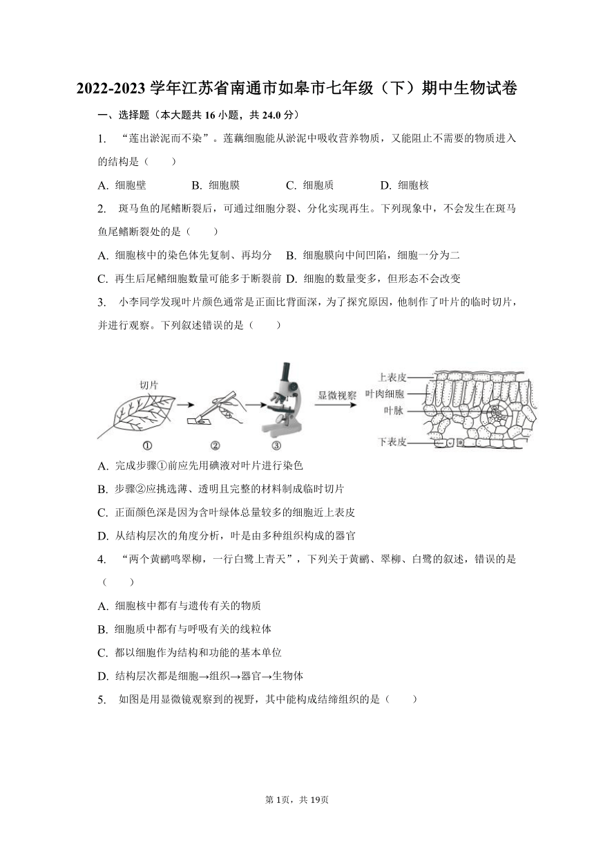 2022-2023学年江苏省南通市如皋市七年级（下）期中生物试卷（含解析）