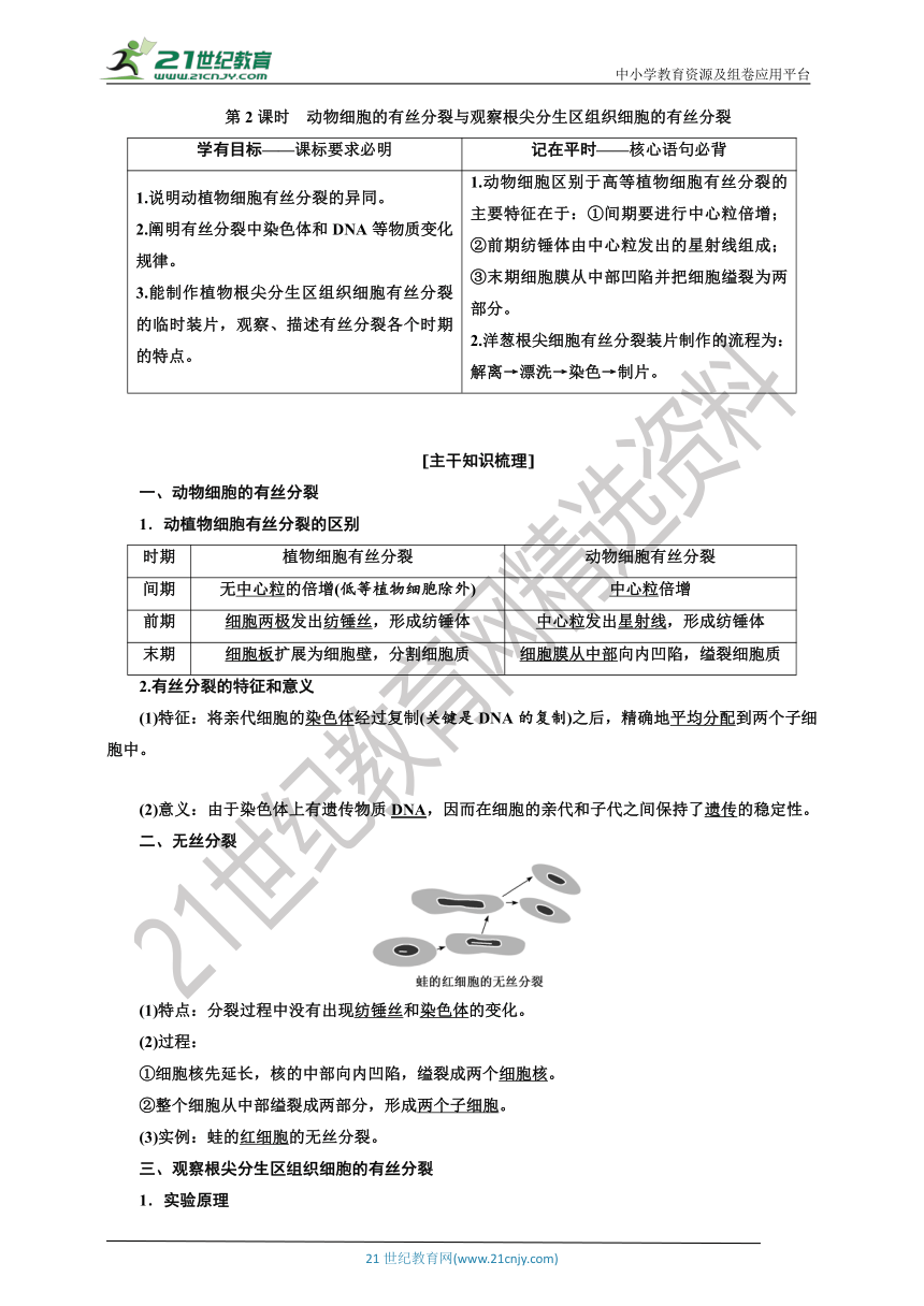 【学案】   第6章　第1节　第2课时　动物细胞的有丝分裂与观察根尖分生区组织细胞的有丝分裂 人教版（2019）生物学 必修1