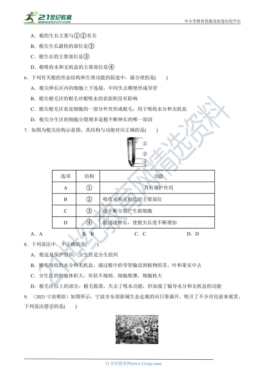 【8年级下册同步讲练测】4.3 植物的根与物质吸收 知识点精练（含答案）