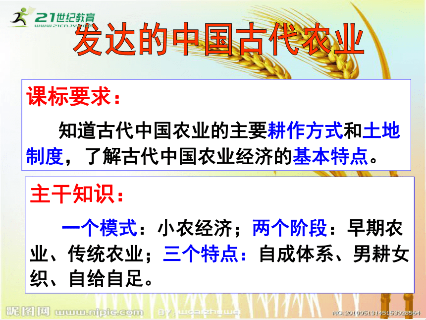 【备考2023】高考历史二轮 古代史部分 发达的中国古代农业 -历史系统性针对性专题复习（全国通用）