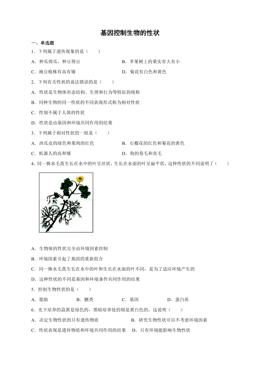 2021-2022学年人教版生物八年级下册7.2.1基因控制生物的性状练习 （word版 含答案）