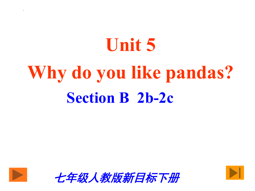 Unit 5 Why do you like pandas? Section B 2b-2c课件(共20张PPT)