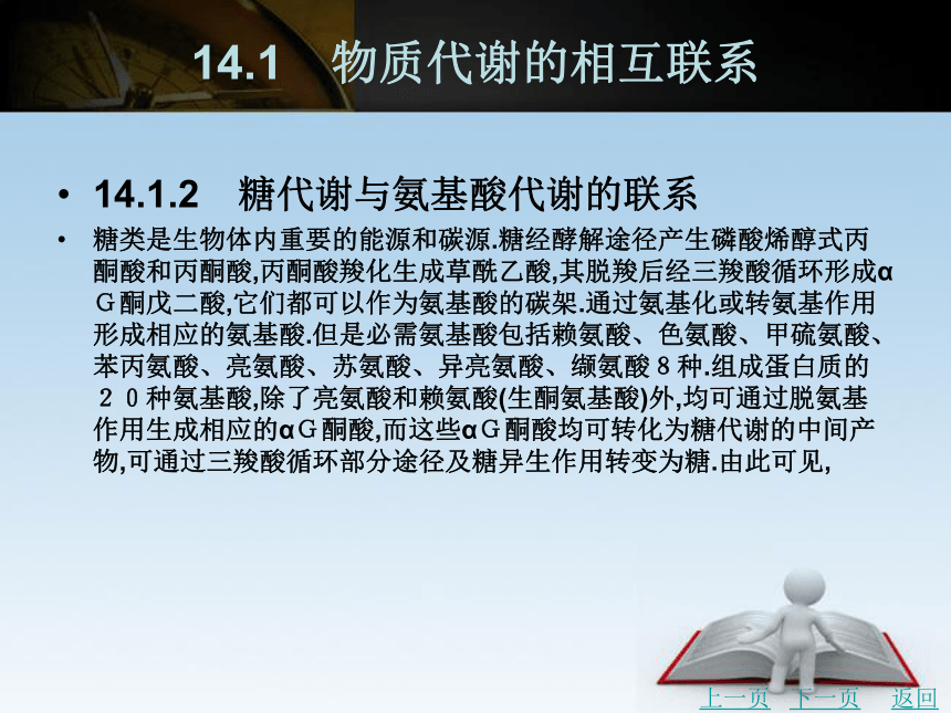 第14章 物质代谢的调控  课件(共28张PPT) 《生物化学》同步教学（北京理工出版社）