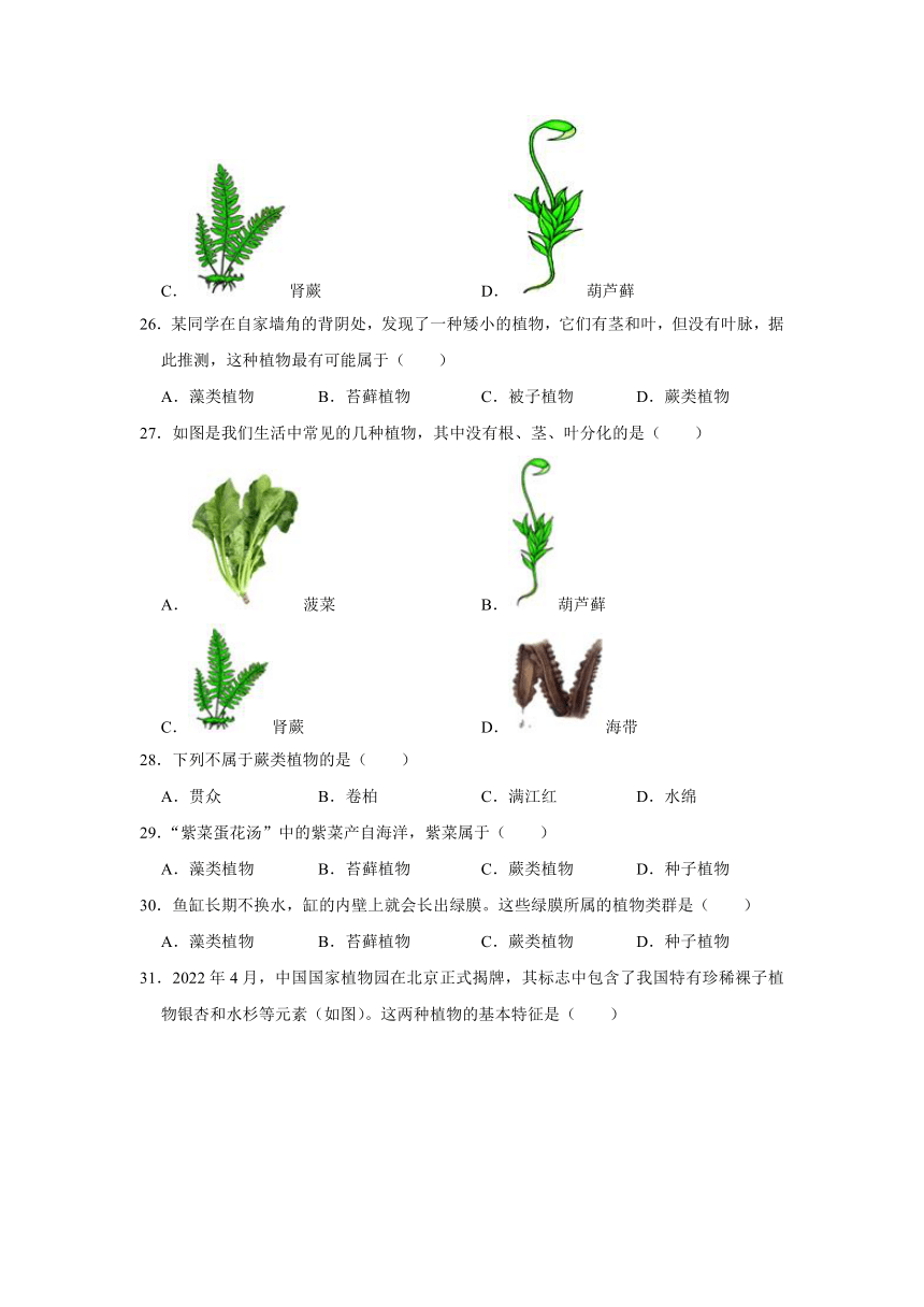 第3单元 生物圈中的绿色植物第1章 生物圈中有哪些绿色植物训练题（word版 含解析）