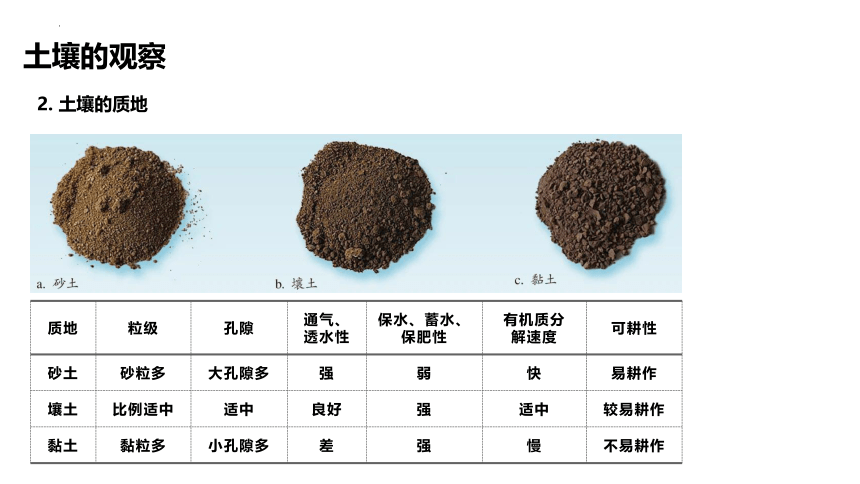 5.2土壤课件（共34张ppt）