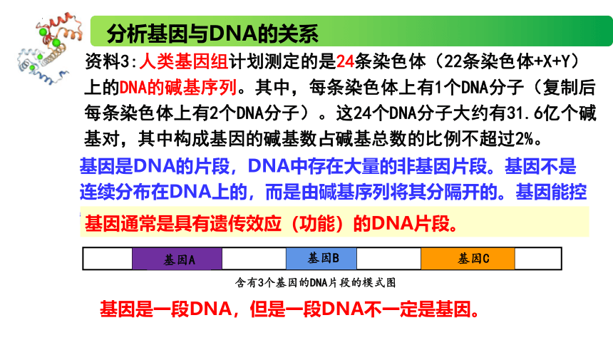 2.3.1 DNA分子通过RNA指导蛋白质的合成 课件（40张ppt） 高一生物（苏教版2019必修2）