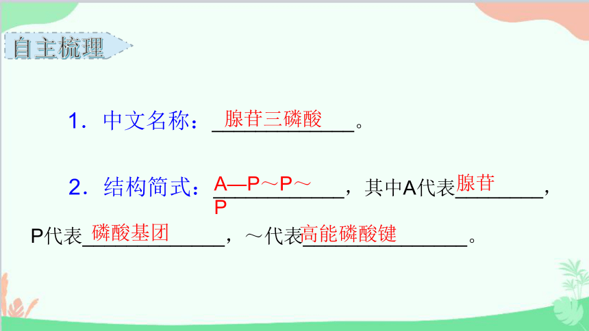 高中生物人教版(2019)必修1 5.2 细胞的能量“货币”ATP 课件（66张ppt）