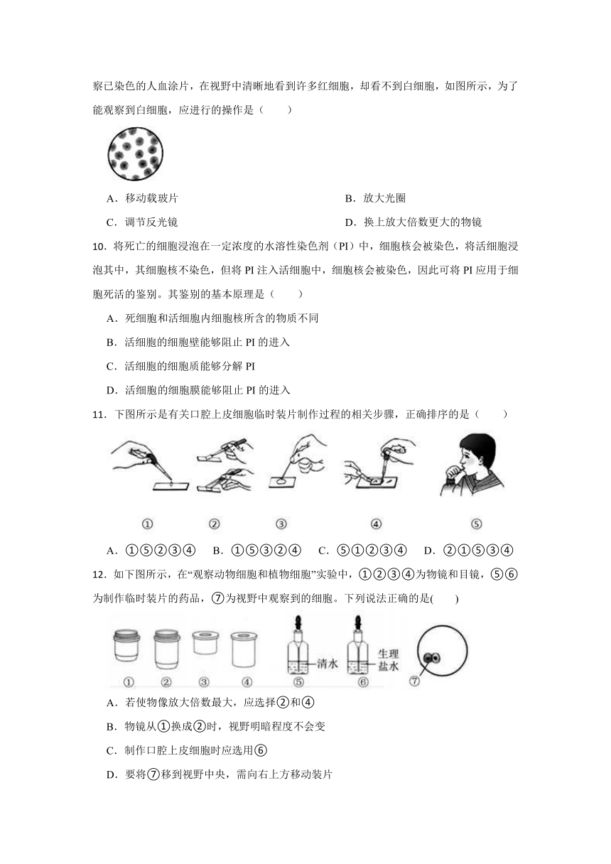 2.2细胞 同步训练（含答案）