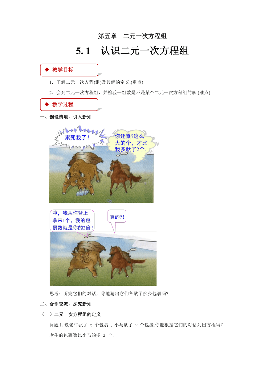 5.1认识二元一次方程组教案 北师大版数学八年级上册