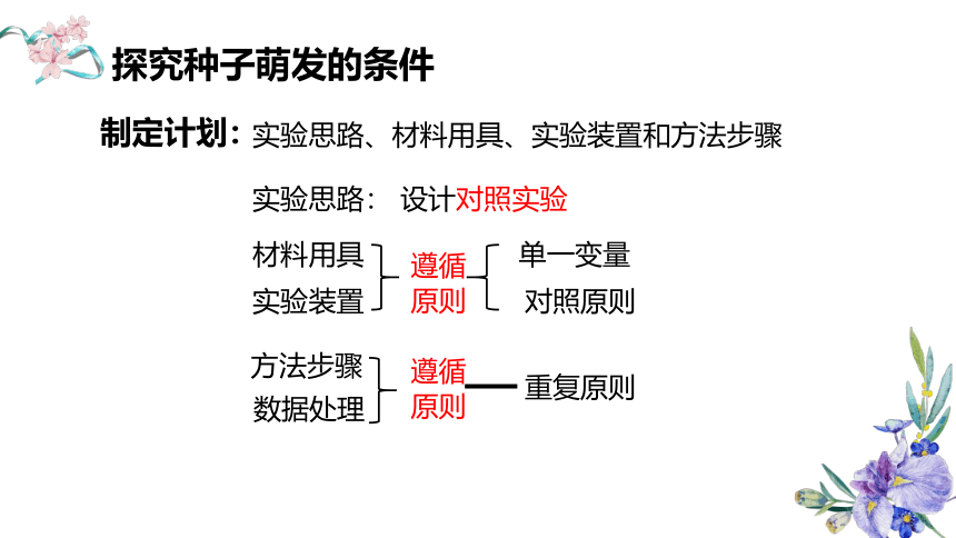 3.2.1 种子的萌发课件(共28张PPT) 人教版七年级生物上册