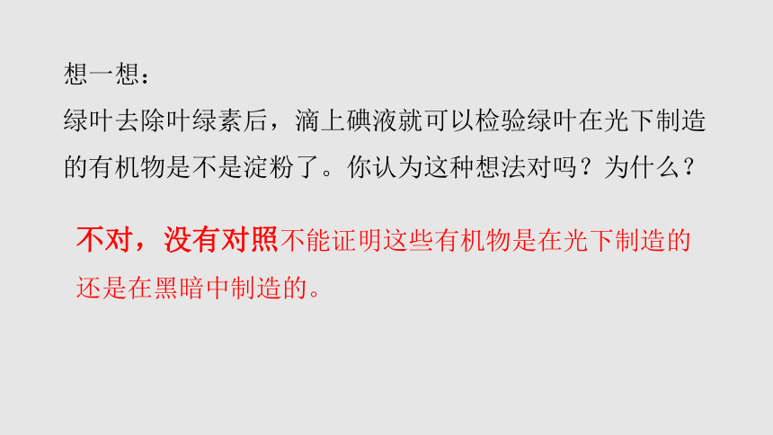 2021-2022学年人教版生物七年级上册3.4绿色植物是生物圈中有机物的制造者课件（共25张PPT 含视频）