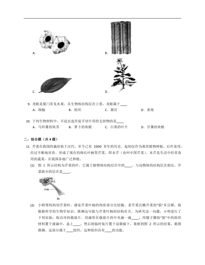 苏科版七年级下4.9.1植物体的组成（含答案）