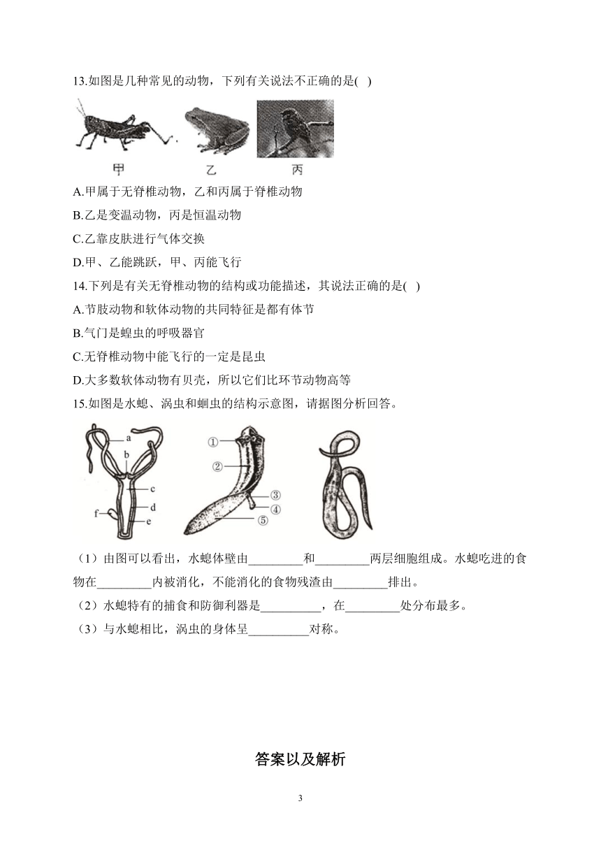 专题01 动物的主要类群（一）——2022-2023学年人教版八年级生物上学期期末专题复习（含解析）