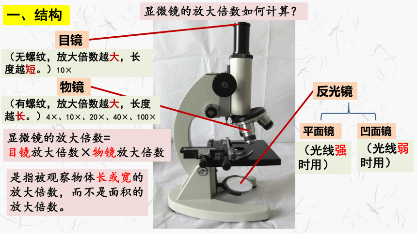 练习使用显微镜（共18张ppt)