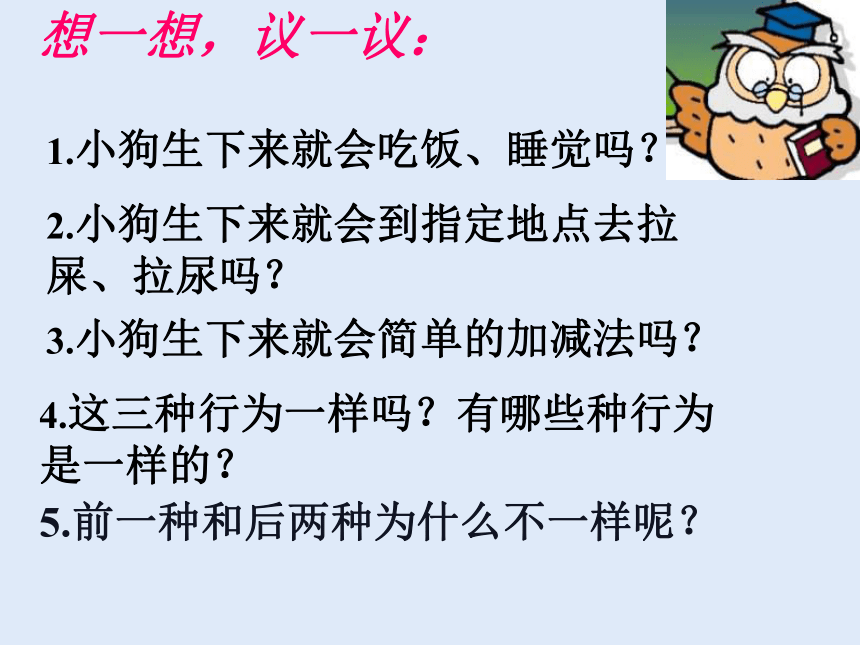 人教版八年级生物 上册第五单元 第二章 第二节 先天性行为和学习行为 课件（共37张PPT）