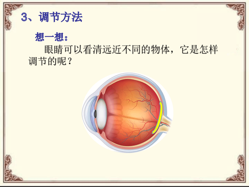 教科版八年级物理上册 4.6 神奇的眼睛 课件(共 20张PPT)