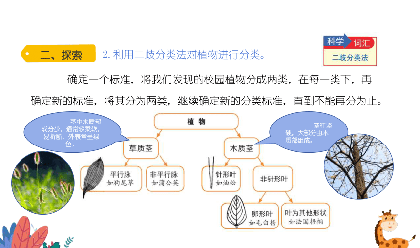 2.2《制作校园生物分布图》课件（16张PPT）