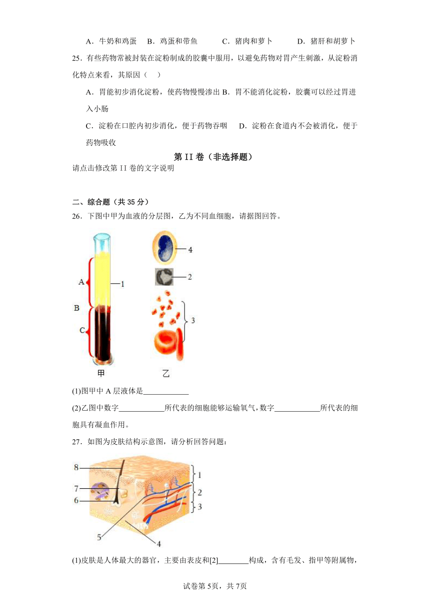 冀少版生物七年级下--期中（含答案）