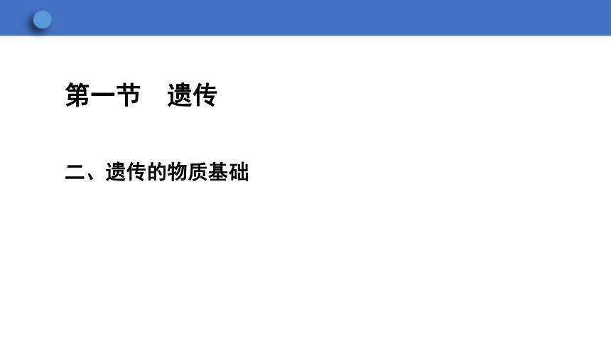 6.2.1 遗传 第2课时课件(共22张PPT)2023-2024学年初中生物冀少版八年级下册