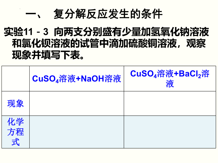 11.1 生活中常见的盐 第二课时 复分解反应发生的条件 课件-2021-2022学年九年级化学人教版下册(共23张PPT)