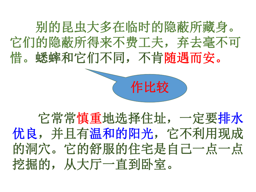 11.蟋蟀的住宅 课件(共43张PPT)