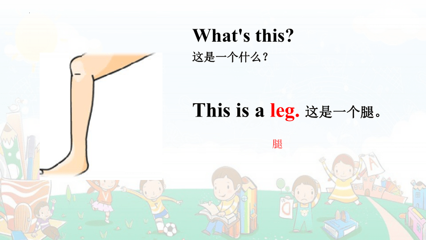 Module 4 Unit 2 These are your legs课件(共28张PPT)