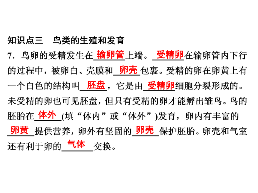 2021-2022学年度北师版八年级生物上册19.2 动物的生殖和发育课件(共31张PPT)