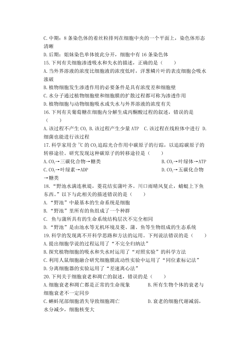 黑龙江省齐齐哈尔市2021-2022学年高一上学期期末考试生物试题（Word版含答案）