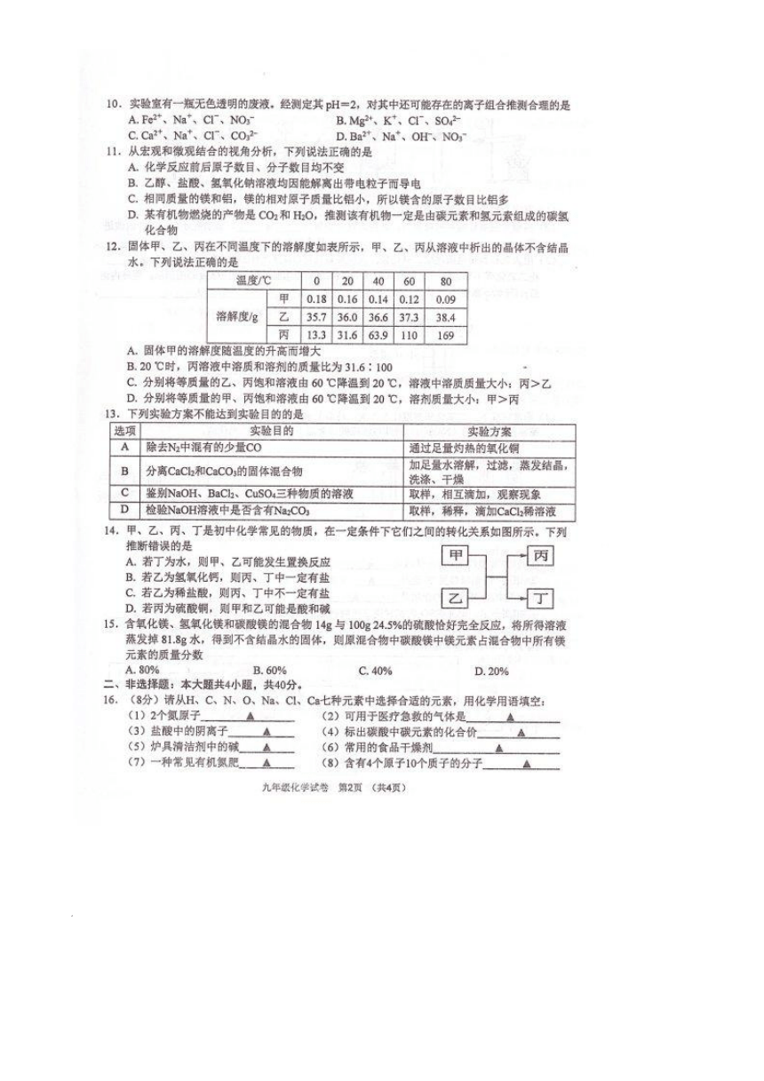 2024年江苏省盐城市大丰区九年级一模化学试题(图片版 无答案)