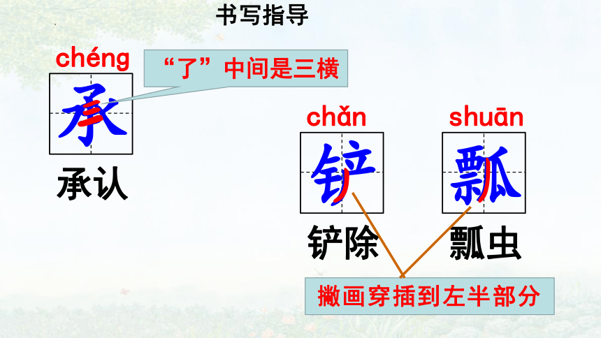 2 祖父的园子 第一课时 课件