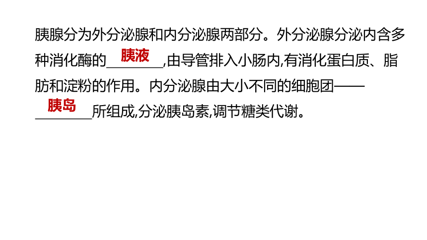 2022年浙江省中考科学一轮复习 第08课时　生命活动的调节（课件 38张PPT）