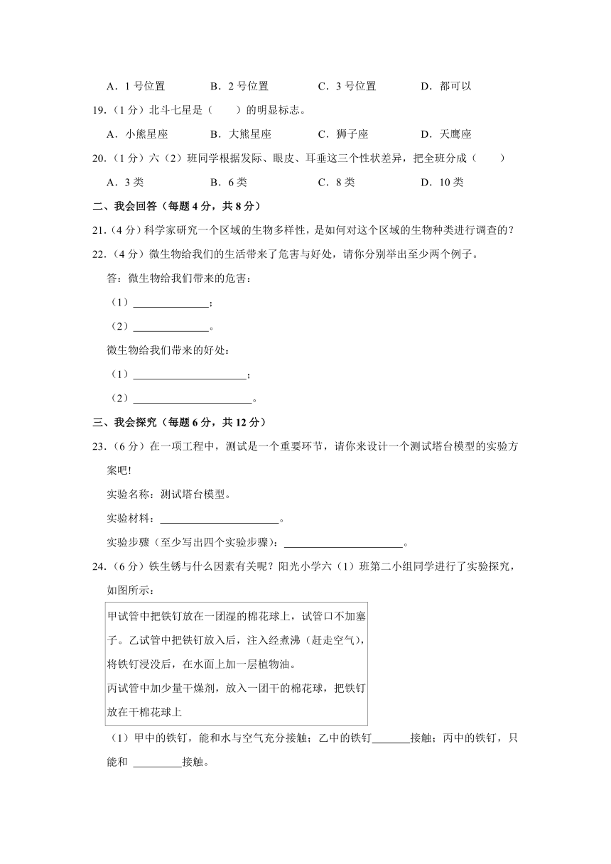 福建省泉州市泉港区2022-2023学年六年级下学期期末小学毕业班科学学业水平测查卷（含解析）