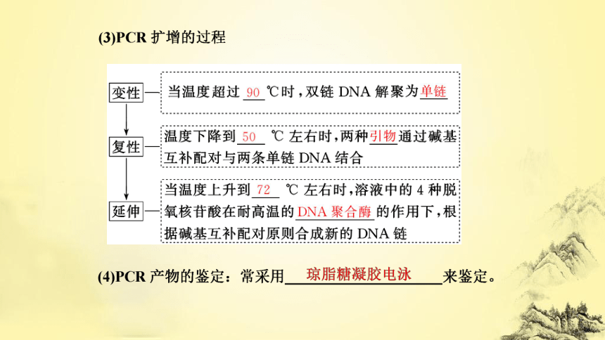 第3章  基因工程：第2节　基因工程的基本操作程序(共62张PPT)