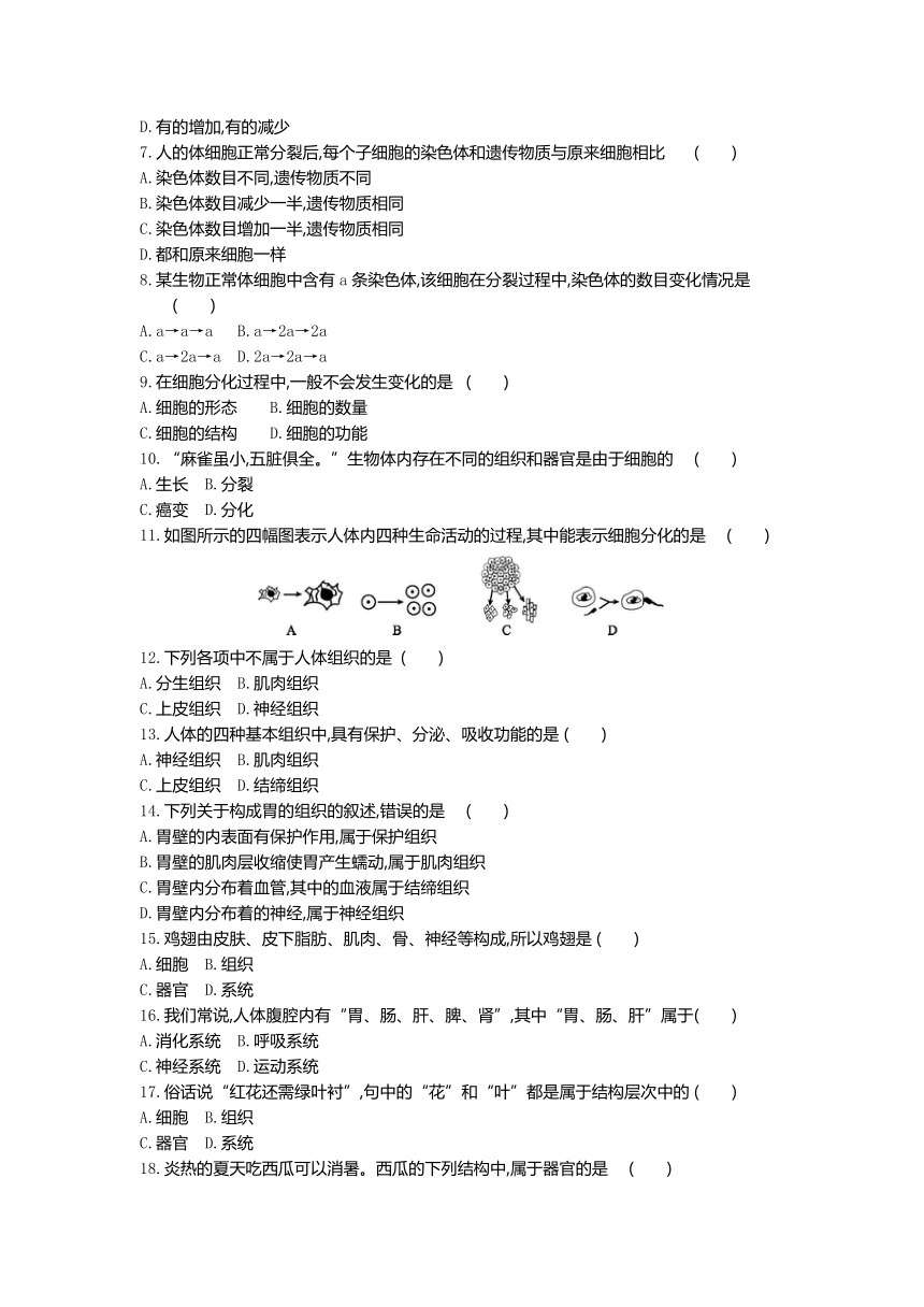 人教版生物七年级上册阶段综合练习：第二单元第二章过关测试卷(word版含答案）