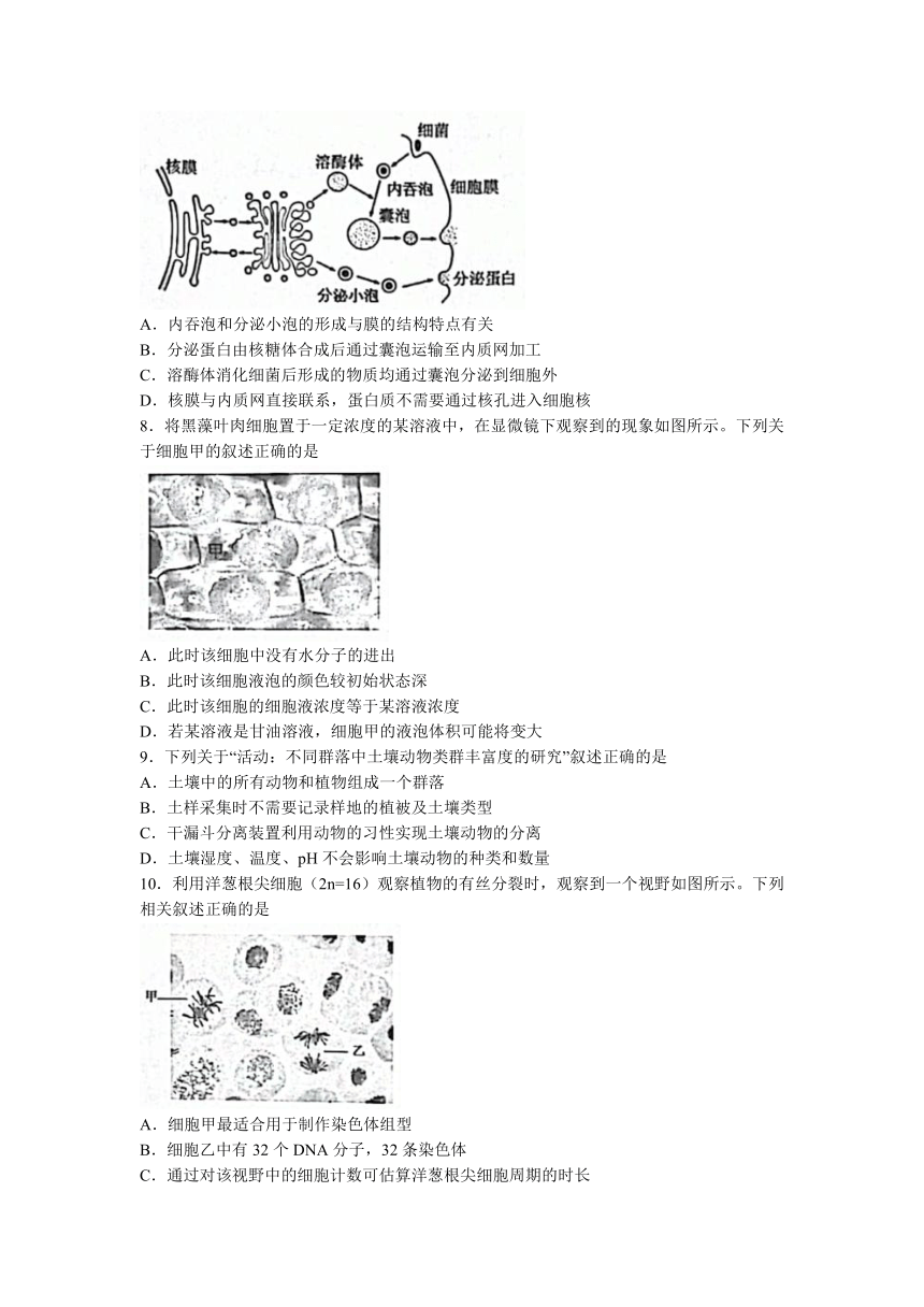 浙江省Z20名校联盟（名校新高考研究联盟）2023届高三上学期8月第一次联考生物学试题（Word版含答案）