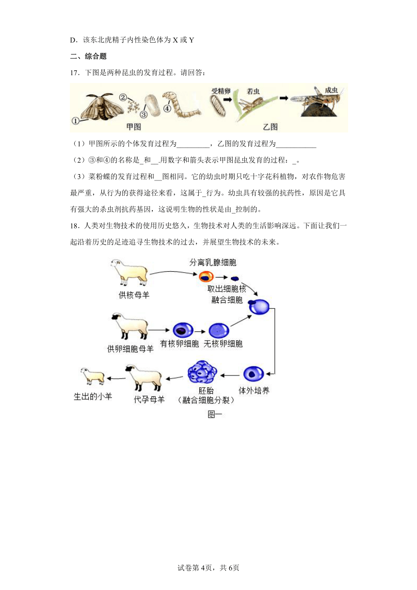 人教版八年级下册7.2.1基因控制生物的性状同步练习（word版 含解析）