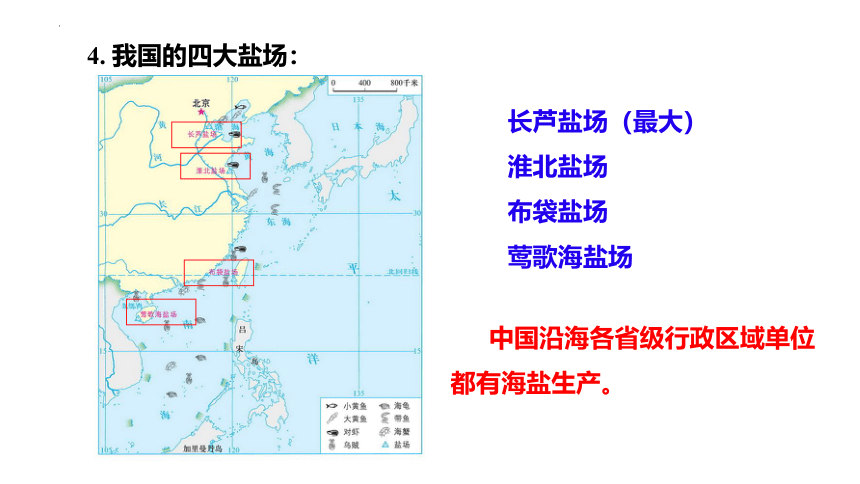 3.4中国的海洋资源 课件(共24张PPT内嵌视频)2022-2023学年湘教版地理八年级上册