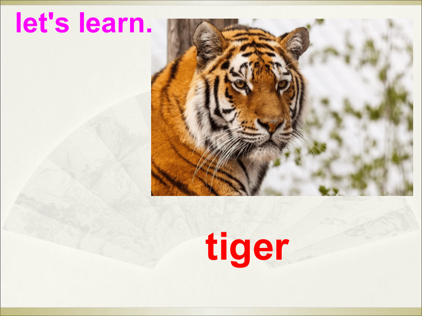 Unit 3 Animals  Lesson 2 课件（16张PPT）