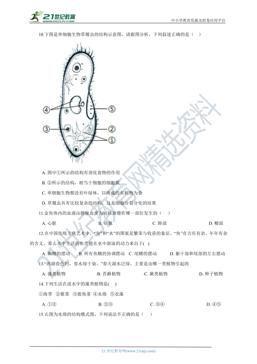 苏科版2021初中生物七下 期中模拟测试卷（含解析）