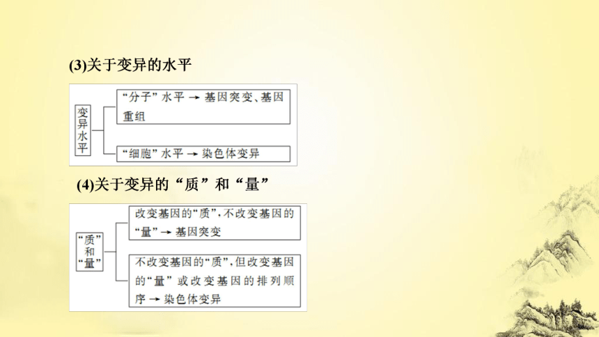 新人教生物二轮复习课件8 生物的变异、育种和进化(课件共77张PPT)