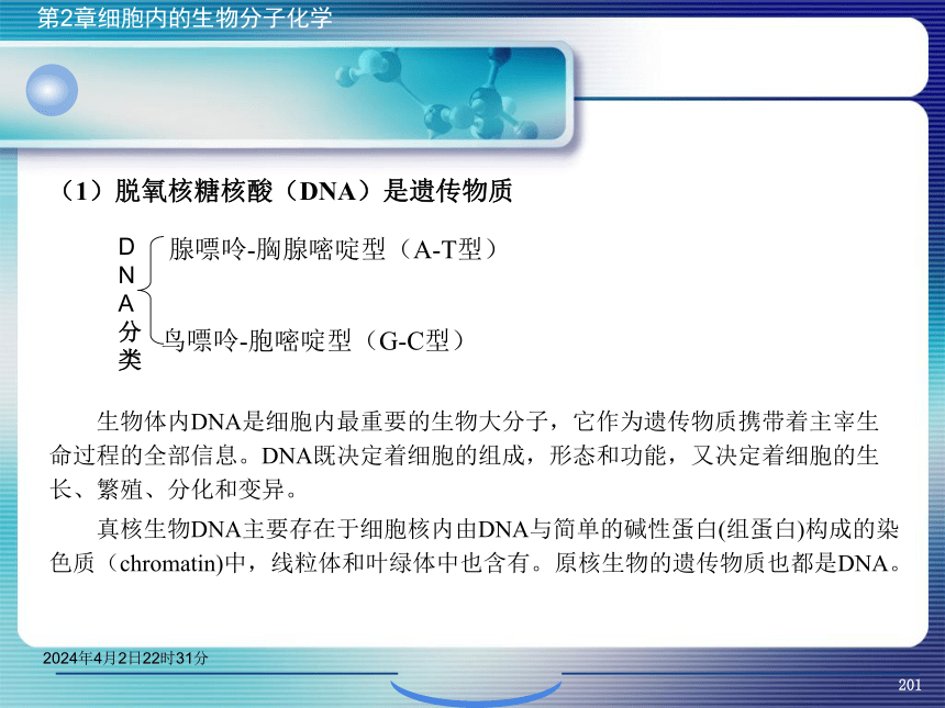 2.5核酸化学 课件(共47张PPT）- 《环境生物化学》同步教学（机工版·2020）