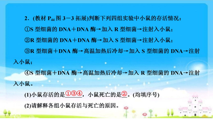 【备考2023】一轮复习：第6单元 第1讲 DNA是主要的遗传物质(共64张PPT)