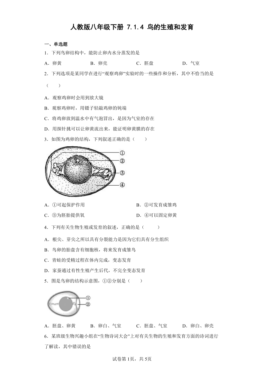 人教版八年级下册7.1.4鸟的生殖和发育（含解析）