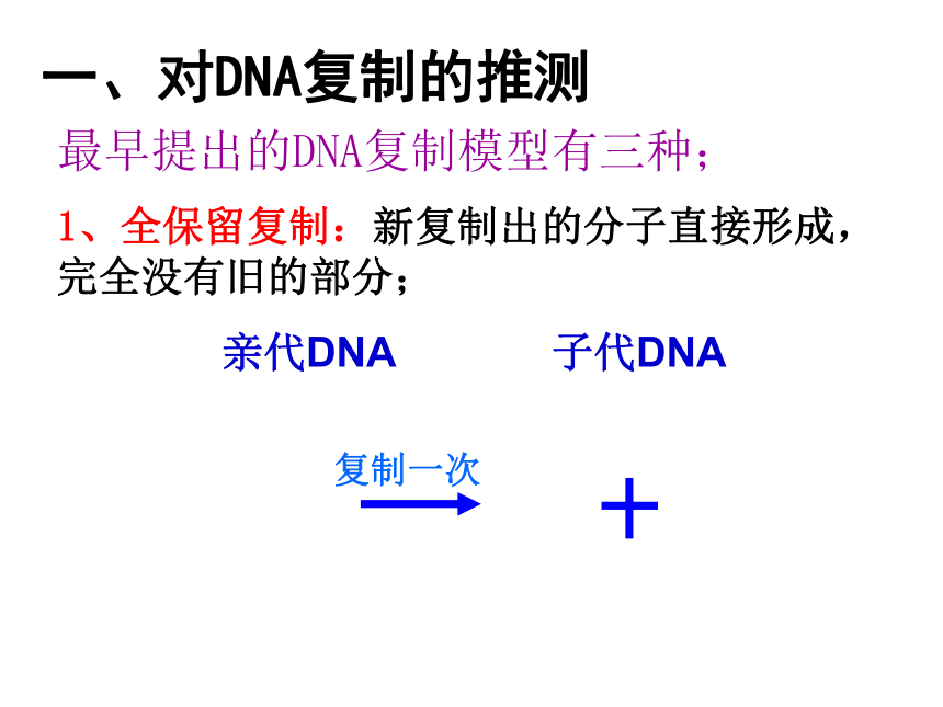 2020-2021学年高一生物人教版必修二3.3 DNA的复制 课件（42张）
