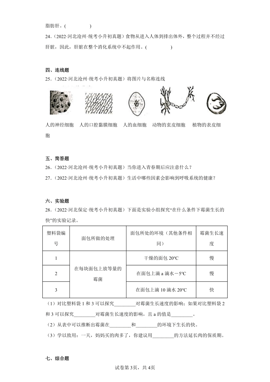 小升初知识点分类-04生命科学（试题）（2）-六年级下册科学通用版（含解析）