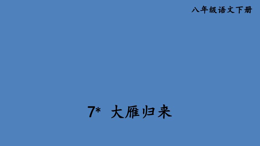 7 大雁归来（课件）（共19张ppt）