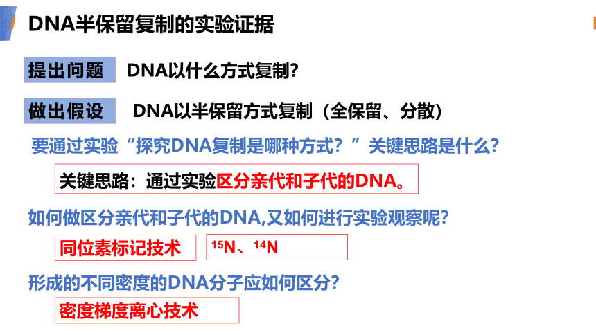 第三章第三节 DNA复制(共27张PPT1个视频)