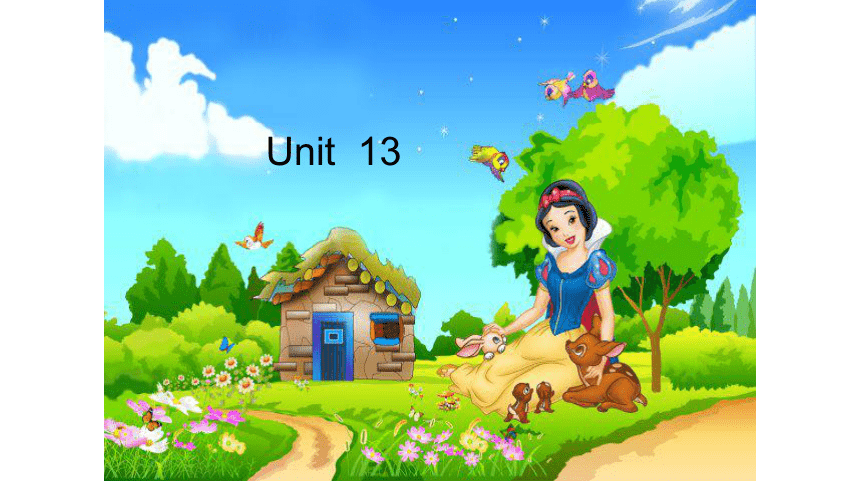 Unit13 Which and where第二课时课件