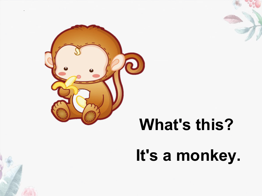 Module 2 Unit 1 They're monkeys.课件(共13张PPT)