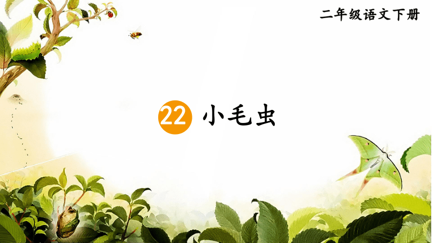 22.小毛虫（第二课时）（课件）（31张）